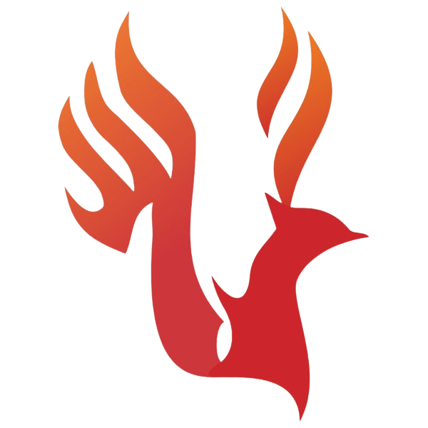 Phoenix Computer Consultants